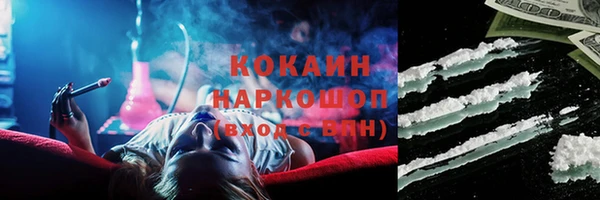 индика Аркадак