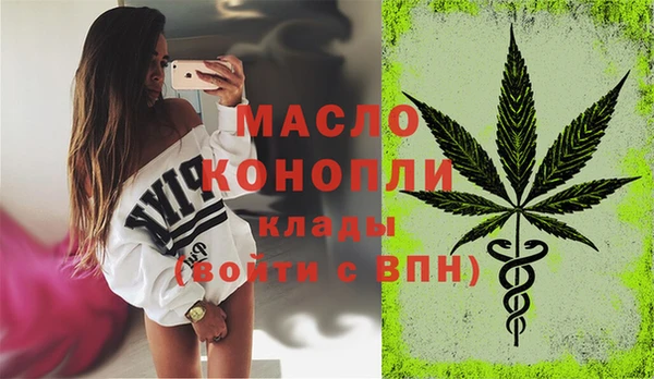 индика Аркадак