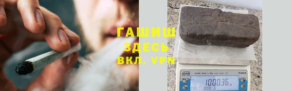 сатива Арсеньев
