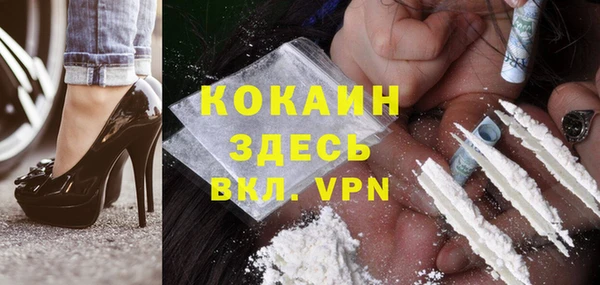 индика Аркадак