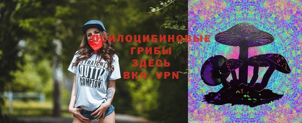 сатива Арсеньев
