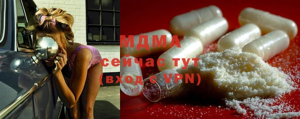 индика Аркадак