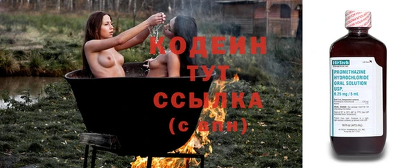 сатива Арсеньев