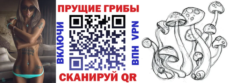 darknet формула Руза Галлюциногенные грибы Cubensis